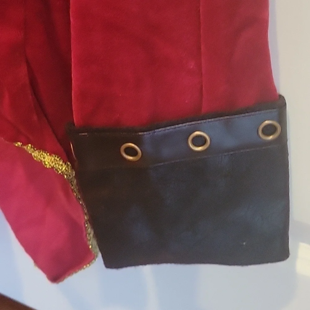 GIRL'S DARLING RINGLEADER COSTUME, SZ L,  12-14 - Picture 13 of 15